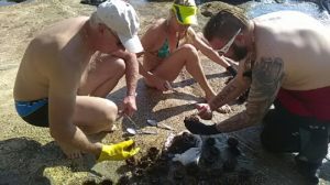 1478023431671_part_1478023431465