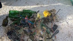 wp_20161113_11_33_00_pro